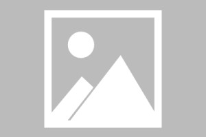 开云体育下载-小飞人陈妤颉确认无缘青奥会，田联年龄设定值得商榷，否则能参赛|夏季奥林匹克运动会|短跑|规则|联合会|赛事